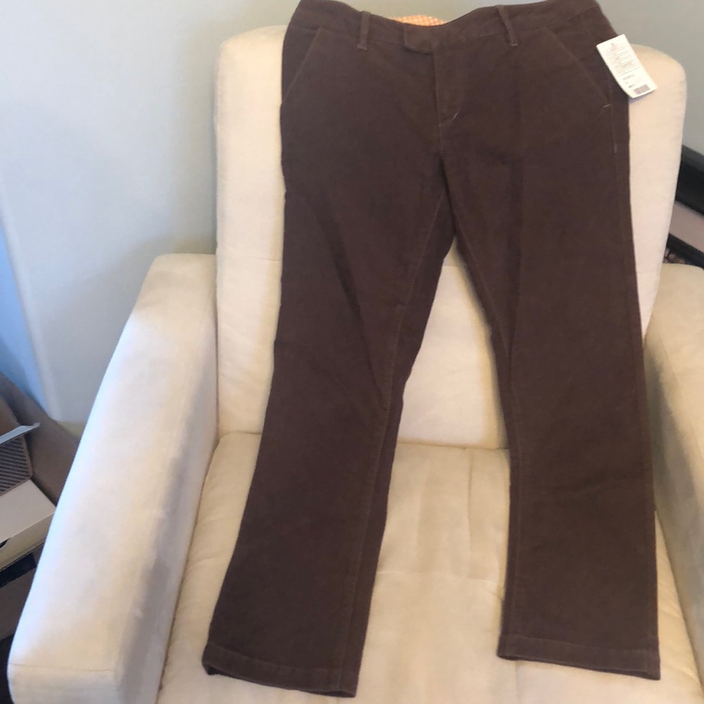 Pilcro and the letterpress brown jean/pants- 29